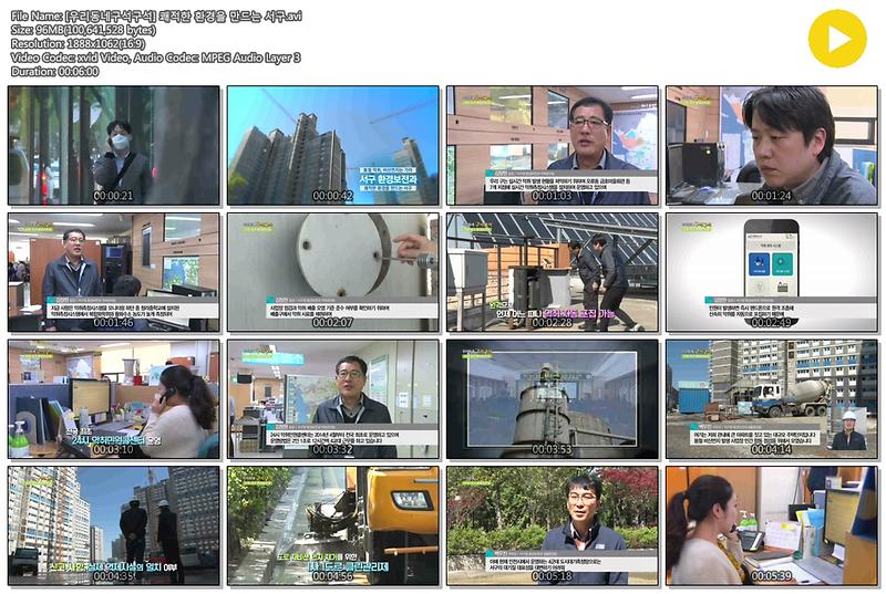[우리동네구석구석] 쾌적한 환경을 만드는 서구 사진